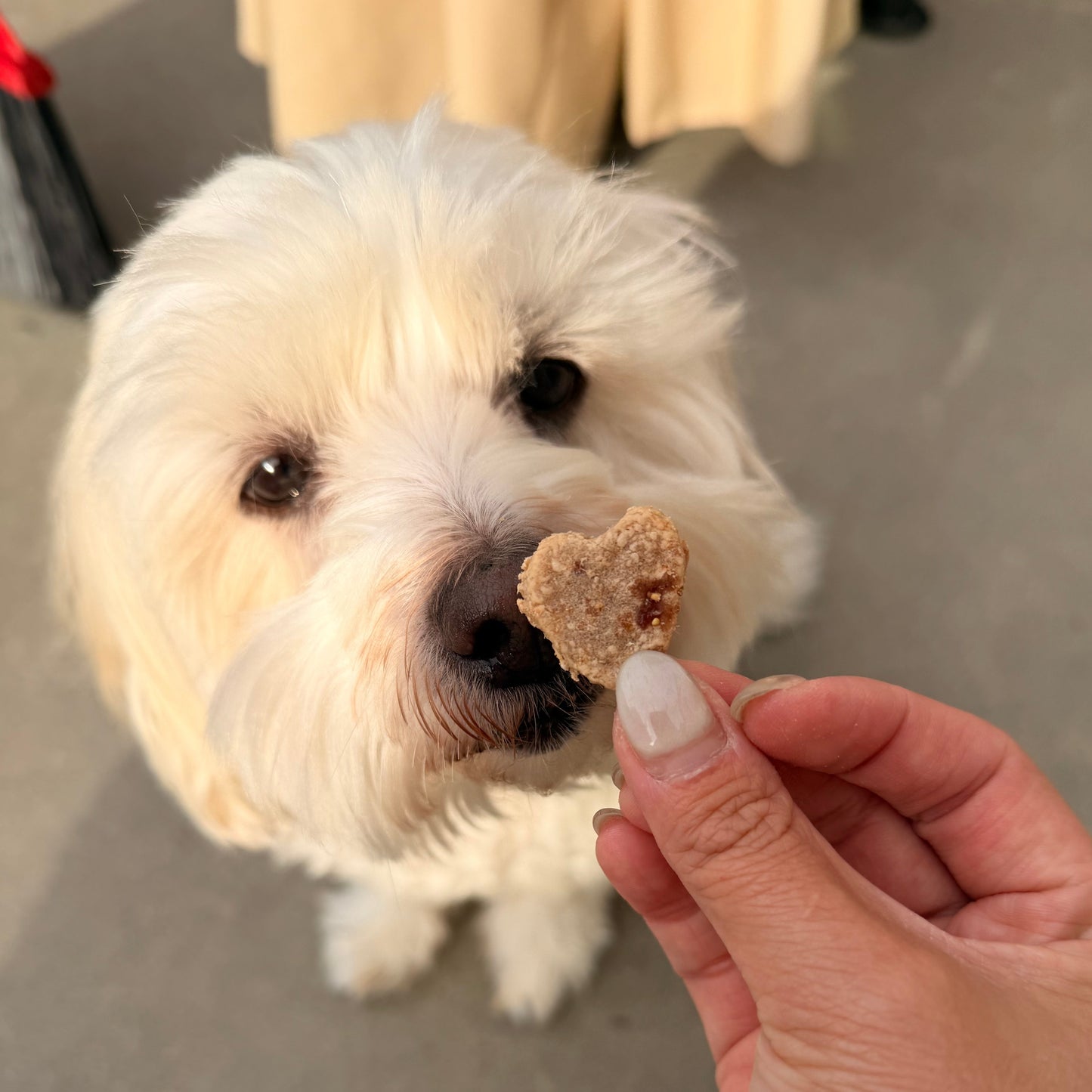 Love Duo: Ocean Edition