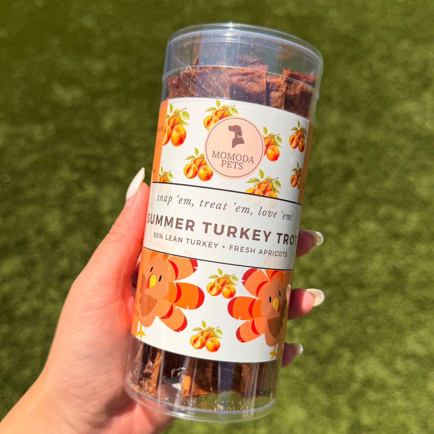 Summer Turkey Trot (Chips)