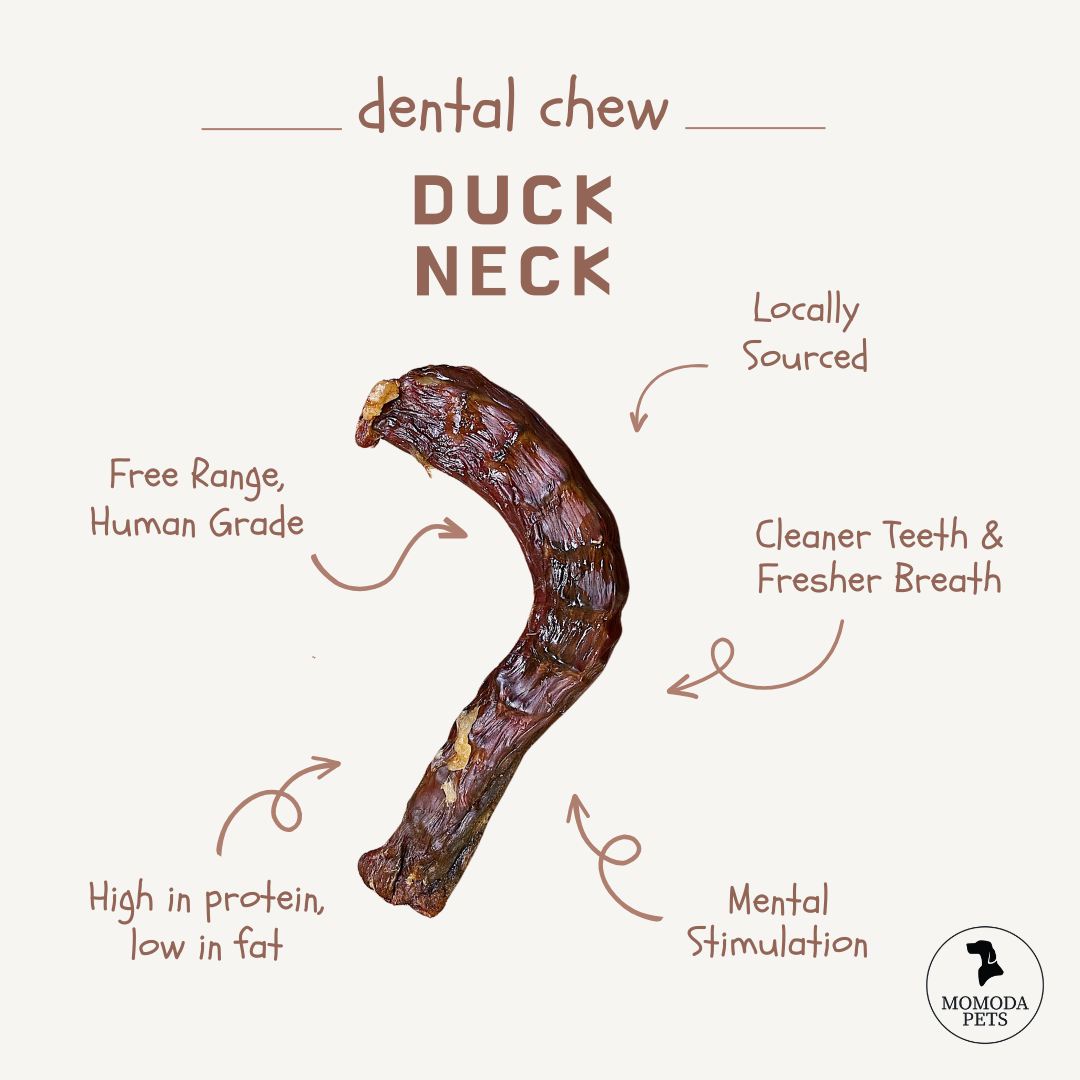 Duck Neck