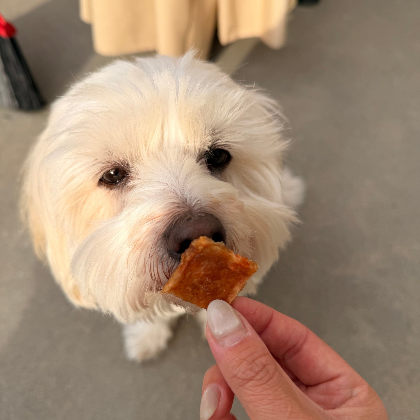 Love Duo: Ocean Edition