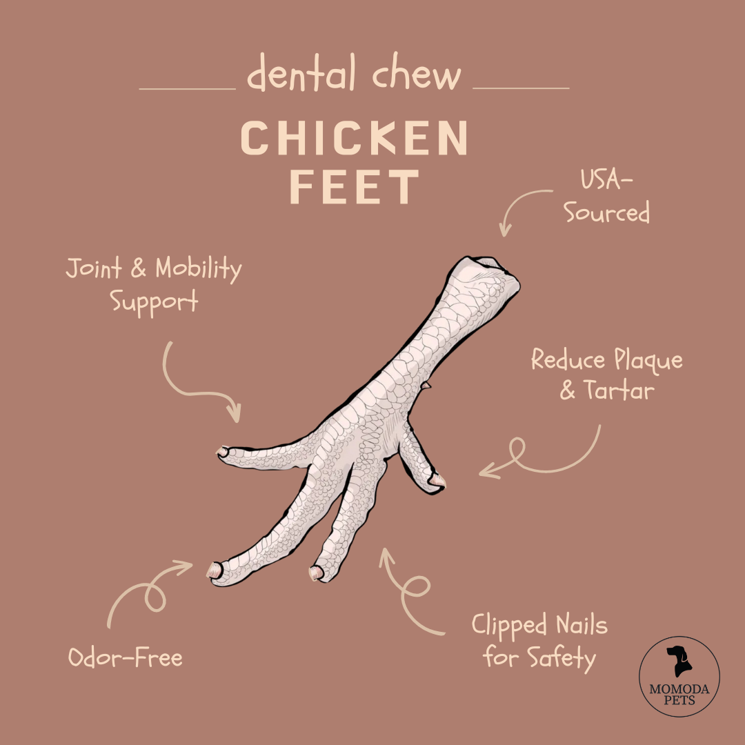 Chicken Feet