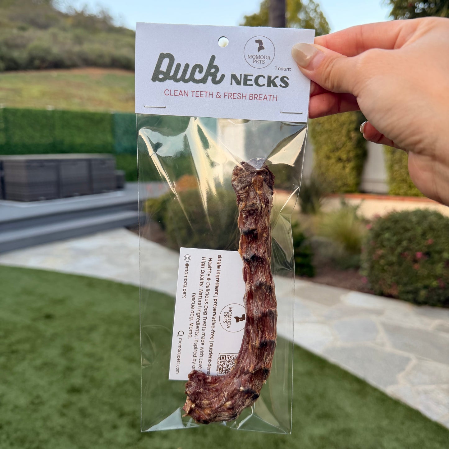 Duck Neck