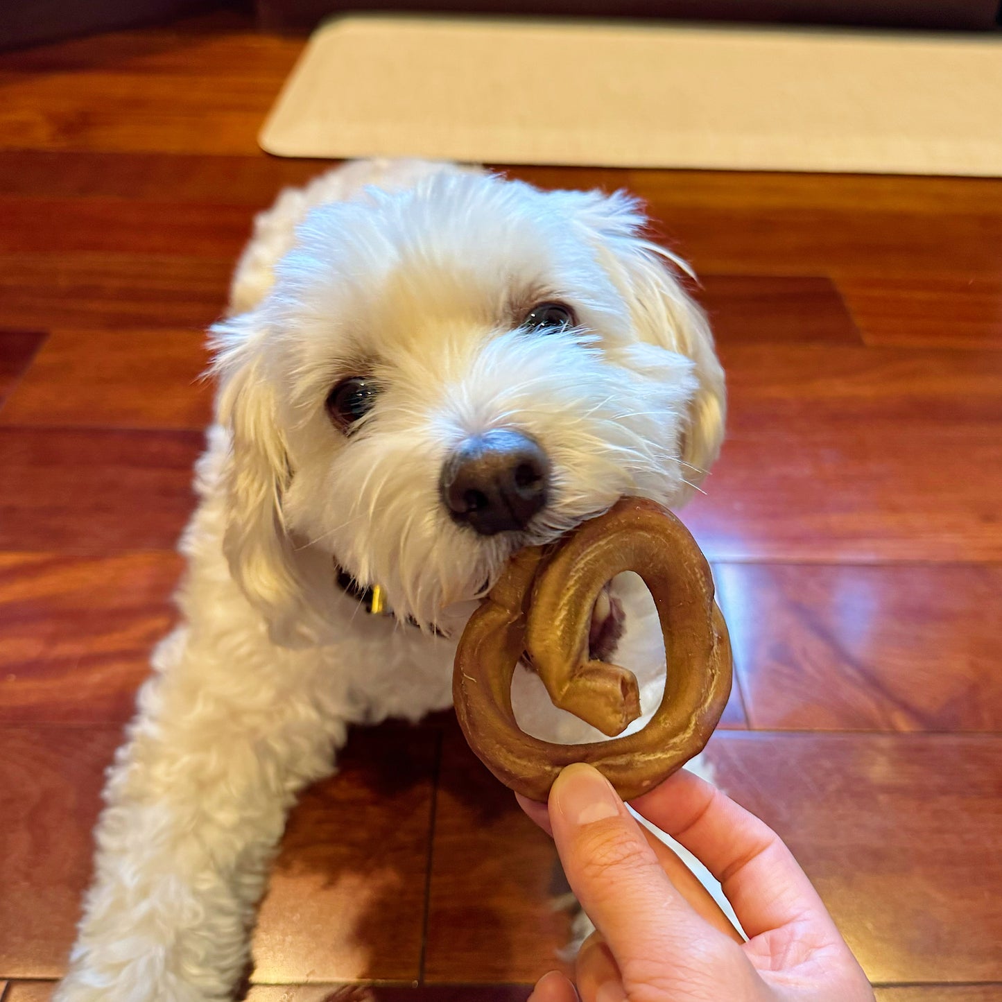 Bully Stick Rings (Odor Free)