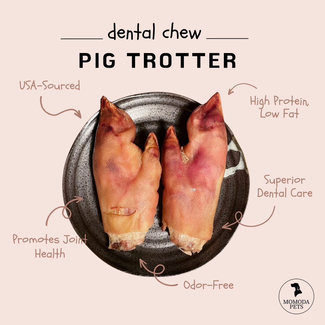 Pig Trotter