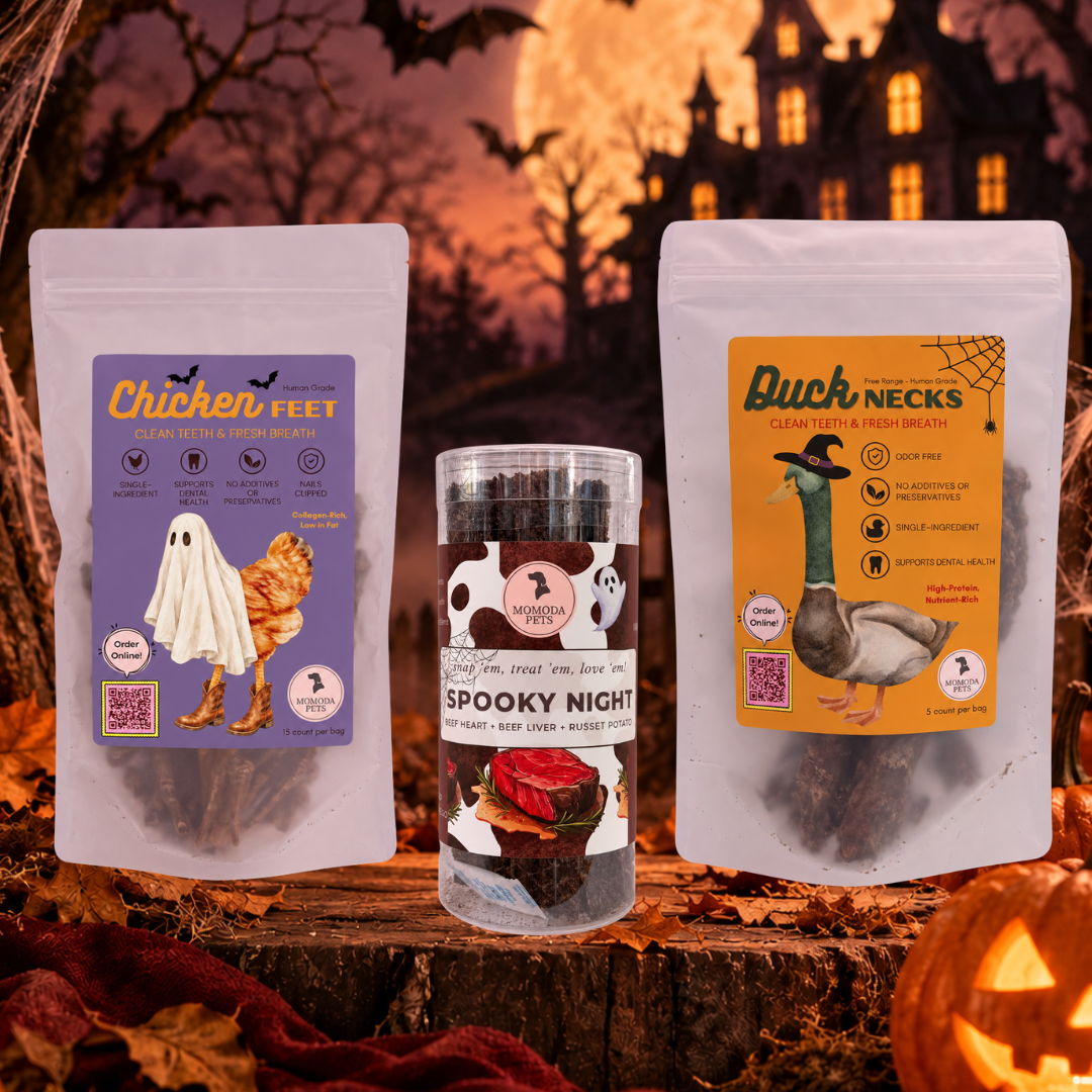 Halloween Bundle - limited edition