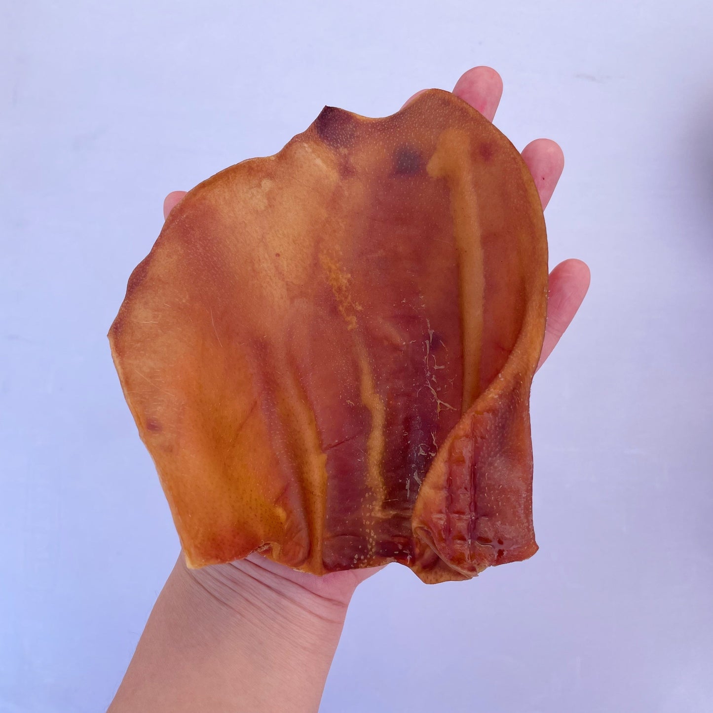 Pig Ear BULK