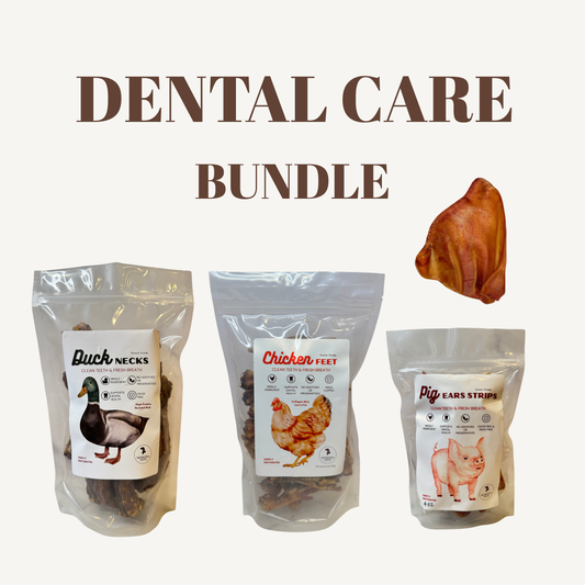 Dental Care Bundle
