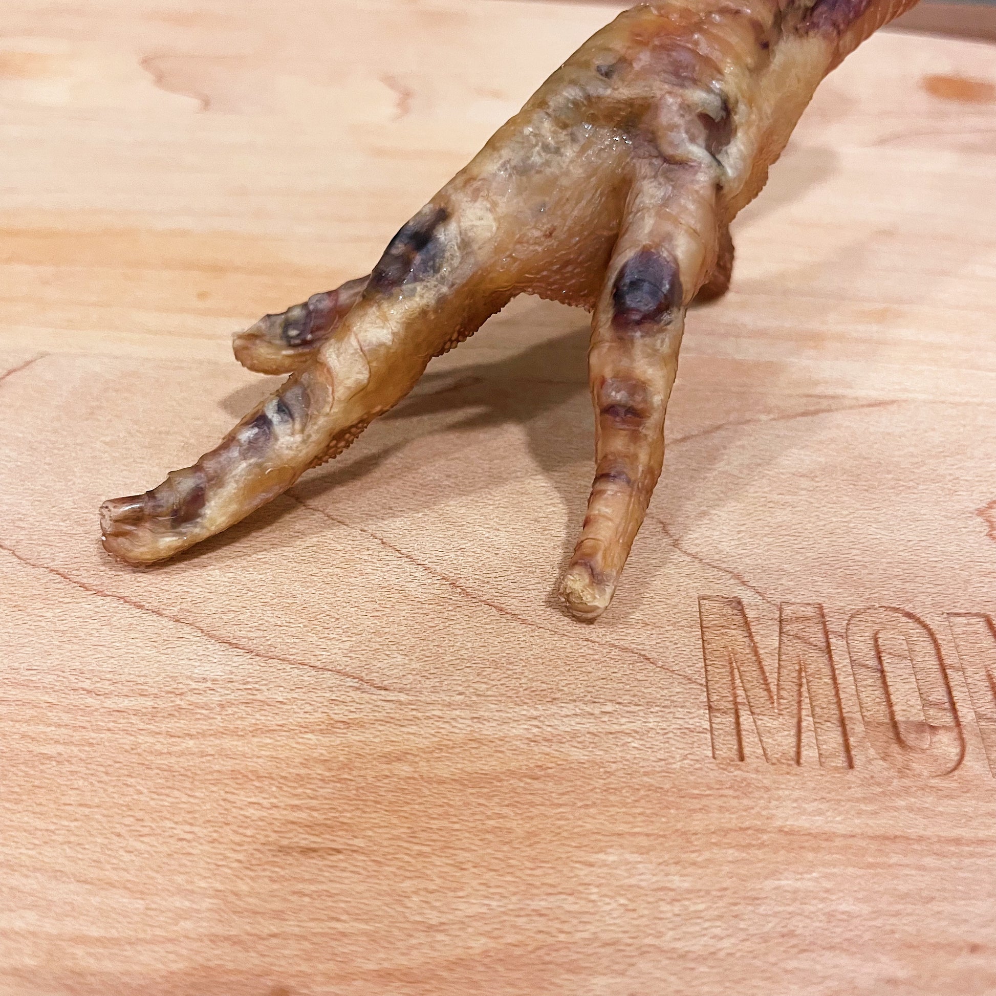 a close up picture of a chicken feet, showing the nails are clipped.